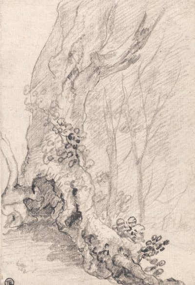 Yaşlı Bir Ağacın İncelenmesi: Gövde ve Sarmaşıkla Kaplanmış Kökler by Richard Wilson