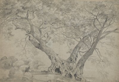 Nemi Gölü kıyısındaki Arbra Sacra, c.1754-56 (kağıt üzerinde siyah beyaz tebeşir) by Richard Wilson