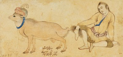 Genç bir adam ve bir koçun incelenmesi, 1630-31 veya sonrası by Riza i Abbasi