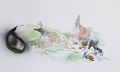  by Rob D Davies