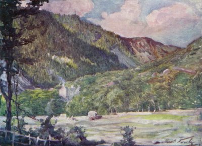 Portmadoc yakınlarında bir Hayfield (renkli taş) by Robert (after) Fowler