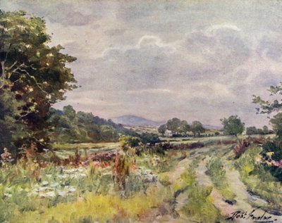 Country Lane (renkli taş) by Robert (after) Fowler