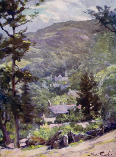 Avrupa Arı Kuşu veya Merops apiasterinin (Kromolitografi) Temsili by Robert (after) Fowler