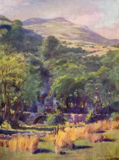Duffws Dağı (renkli taş) by Robert (after) Fowler