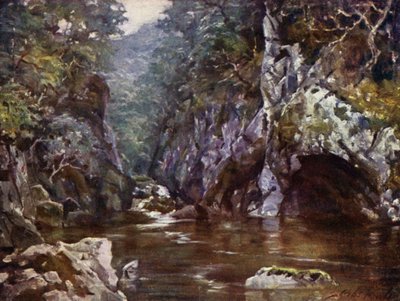 Peri Glen, Bettws-y-Coed (renkli taş) by Robert (after) Fowler