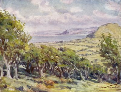Colwyn Körfezi yakınında (renkli taş) by Robert (after) Fowler