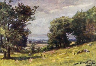 Windy Day, near Llanrug (colour litho) by Robert (after) Fowler