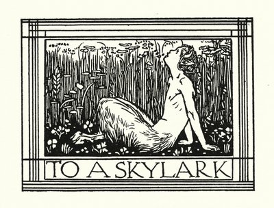 Shelley: Bir Tarlakuşuna (taş baskı) by Robert Anning Bell