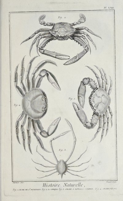Yengeçler, Denis Diderot tarafından 