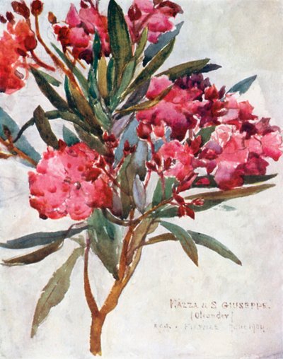  by Robert Charles Goff