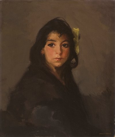 ದಿ ಜಿಪ್ಸಿ ಗರ್ಲ್, 1912 ಟರ್ಕಿ by Robert Cozad Henri