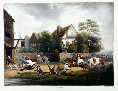 Deli Bir Boğa, 1806 by Robert Dodd