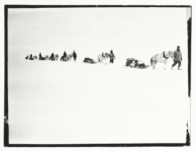 Yürüyüşte midilliler, Büyük Buz Bariyeri, 2 Aralık by Robert Falcon Scott