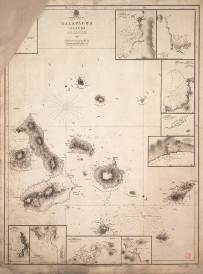 HMS 