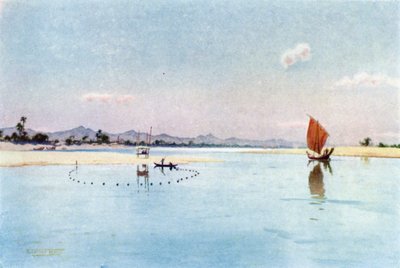 Irrawaddy