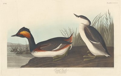 Kulaklı Batağan, 1838. by Robert Havell