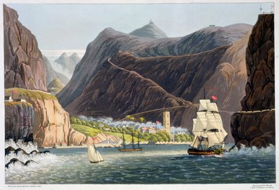 Yollar, St Helena, 1815 by Robert Havell