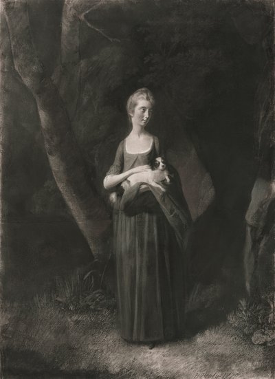  by Robert Healy