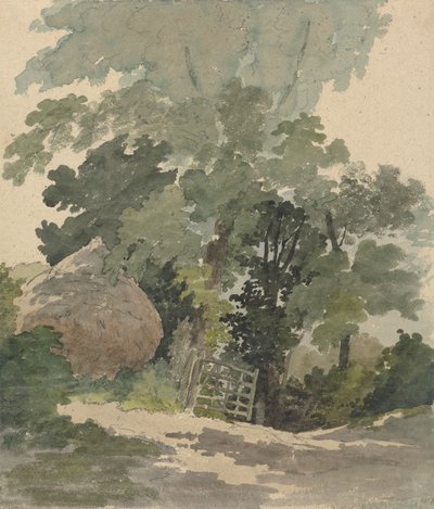 Saman Yığınlı ve Kapılı Bir Ülke Yolu by Robert Hills