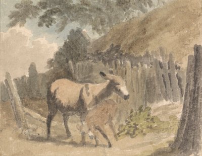 Bir Eşek ve Tay by Robert Hills
