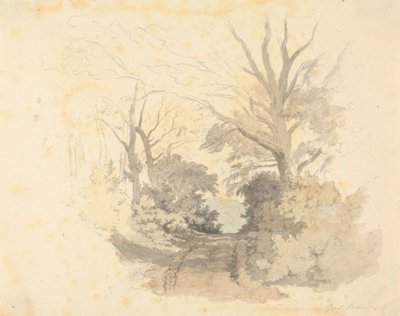 A Lane, Büyük Borside by Robert Hills
