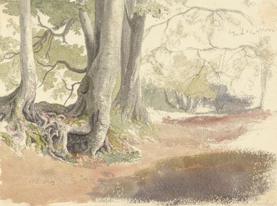 Kayın ağaçları by Robert Hills