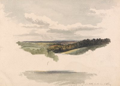 Netley Heath ve Albury arasında by Robert Hills