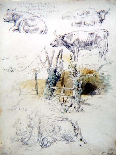 Sığır Çalışmaları by Robert Hills