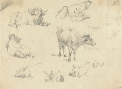 Çeşitli Açılardan İnekler by Robert Hills