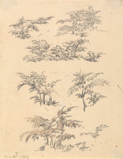 Bracken Çalışması by Robert Hills