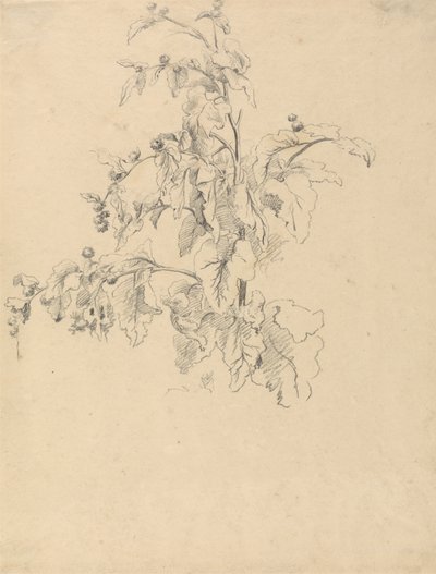 Yeşillik Çalışması by Robert Hills
