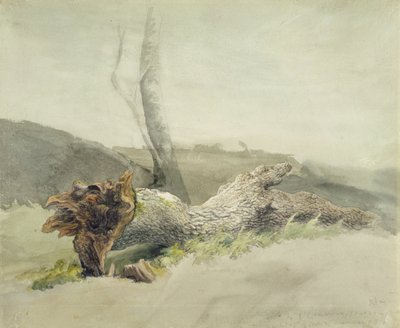 Düşmüş Ağaç, c.1804 (dokuma kağıt üzerine grafit üzerine wc) by Robert Hills