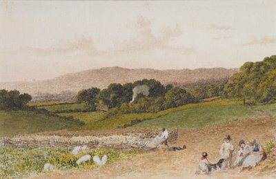 Şalgam Tarlası by Robert Hills