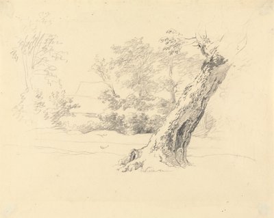 Ağaç Çalışması by Robert Hills