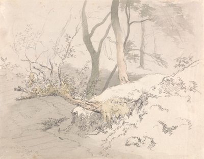 Ormanlık Gölge by Robert Hills