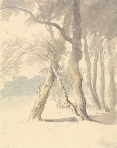 Orman Çalışması by Robert Hills