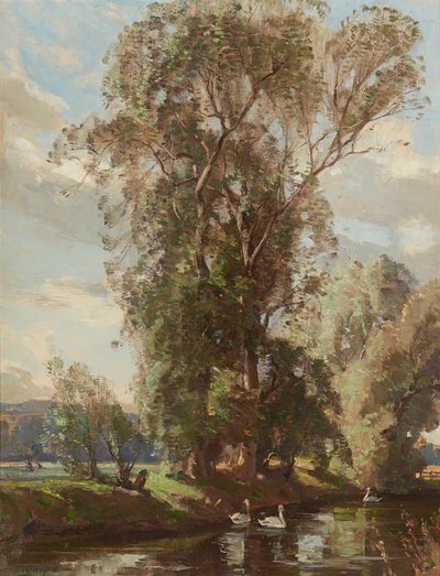 Bilir Mill Lade