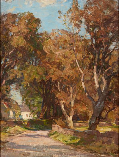Colvend Manse Yakınında Yol Kenarı, Dalbeattie (tuval üzerine yağlı boya) by Robert Hope