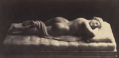 Hermafrodit, yaklaşık 1861. by Robert MacPherson
