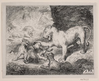 Aslan yavruları. Chr için İllüstrasyon. Winther