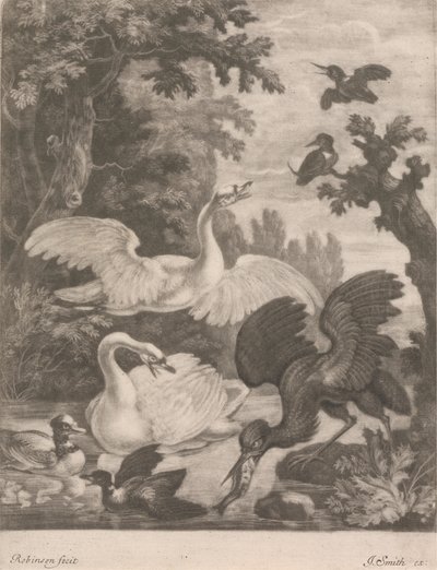 su kuşları by Robert Robinson
