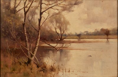 Göl Kenarında Gümüş Birch (tuval üzerine yağlı boya) by Robert Russell MacNee