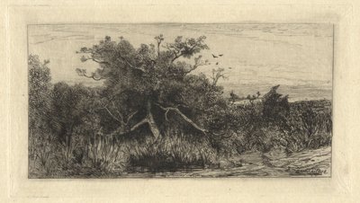 budaklı ağaç by Robert Swain Gifford