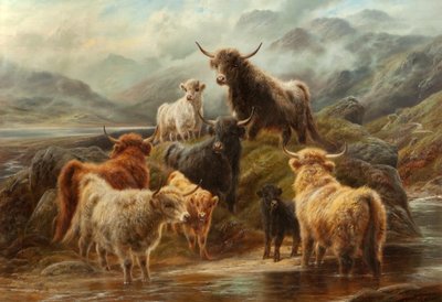 ಹೈಲ್ಯಾಂಡ್ ಕ್ಯಾಟಲ್, 1894 ಟರ್ಕ್ by Robert Watson