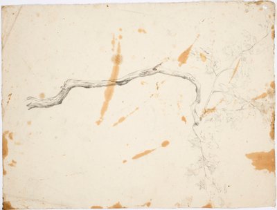  by Robert Wilhelm Ekman