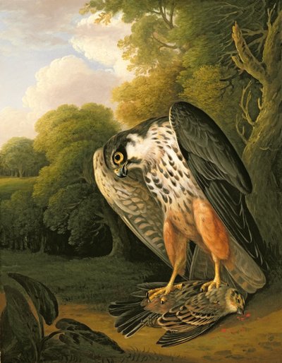 Buxton