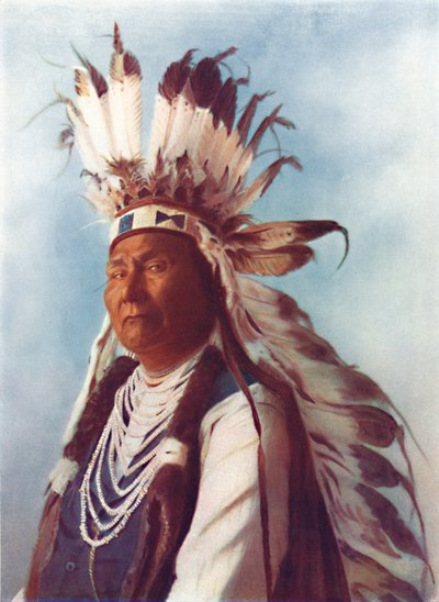 Bir Şahaptin reisi, 1912 by Robert Wilson Shufeldt