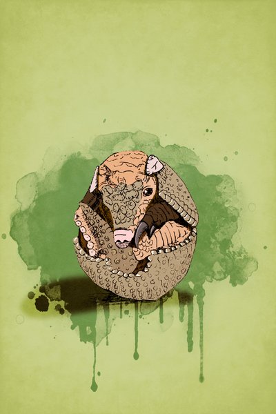 Bebek Armadillo, 2022 (dijital) by Roberta Murray