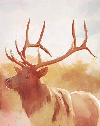  by Roberta Murray