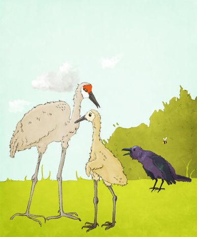 Gus Gus ve Corvid, 2020 (dijital) by Roberta Murray